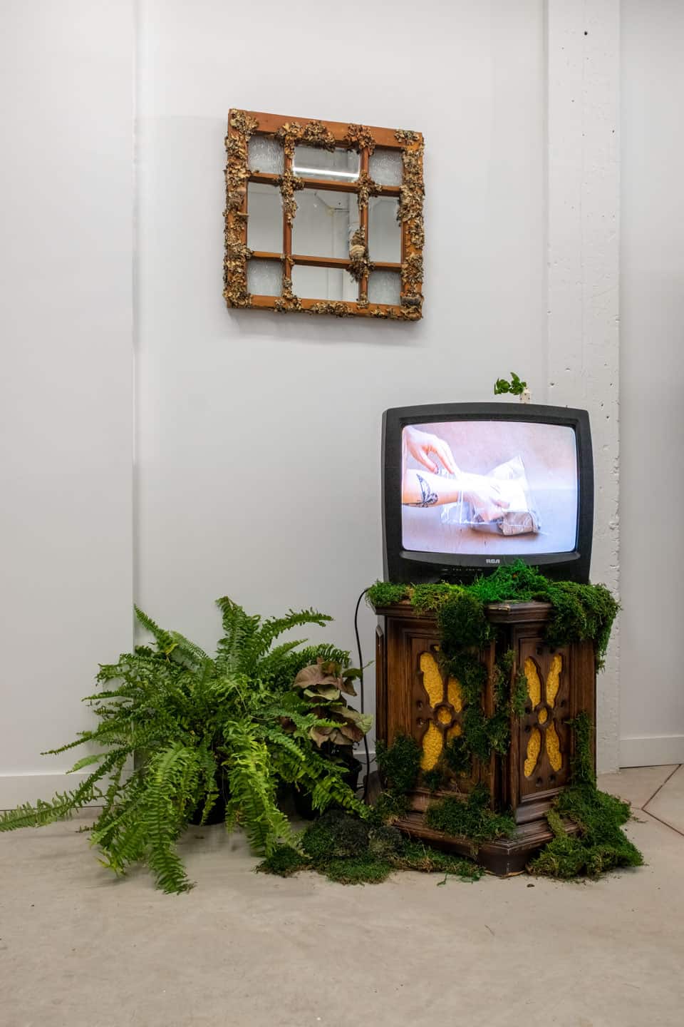 Peculiar Movements/Green Junctions at NAMARA projects